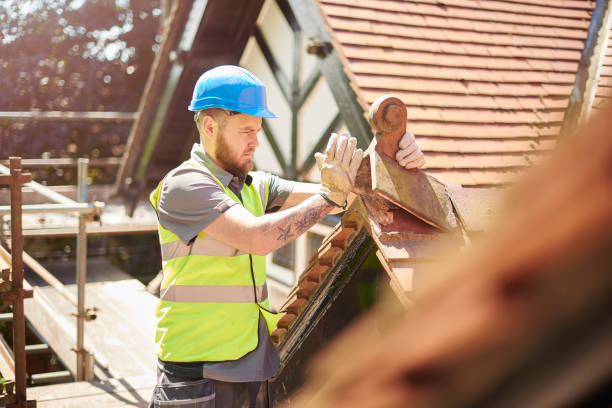 Roof Gutter Cleaning in Lakeport, CA